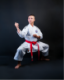 Picture of karate