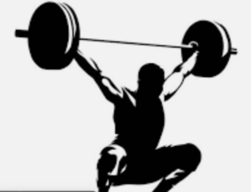Picture for category Weightlifting